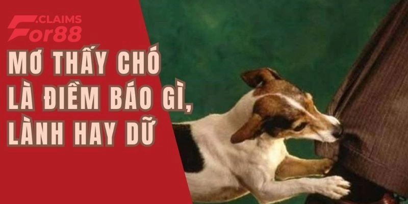 Mơ Thấy Chó Là Sao? Nên Đánh Đề Con Gì Để Được Thắng Lớn