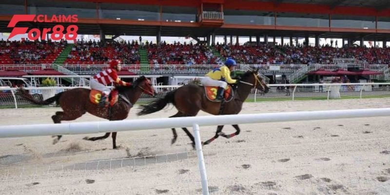 Thế nào là cá cược đua ngựa? Giải mã khái niệm