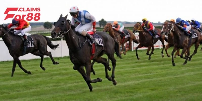 Cá Cược Đua Ngựa For88 - Tham Gia Đấu Trường Thưởng Khủng